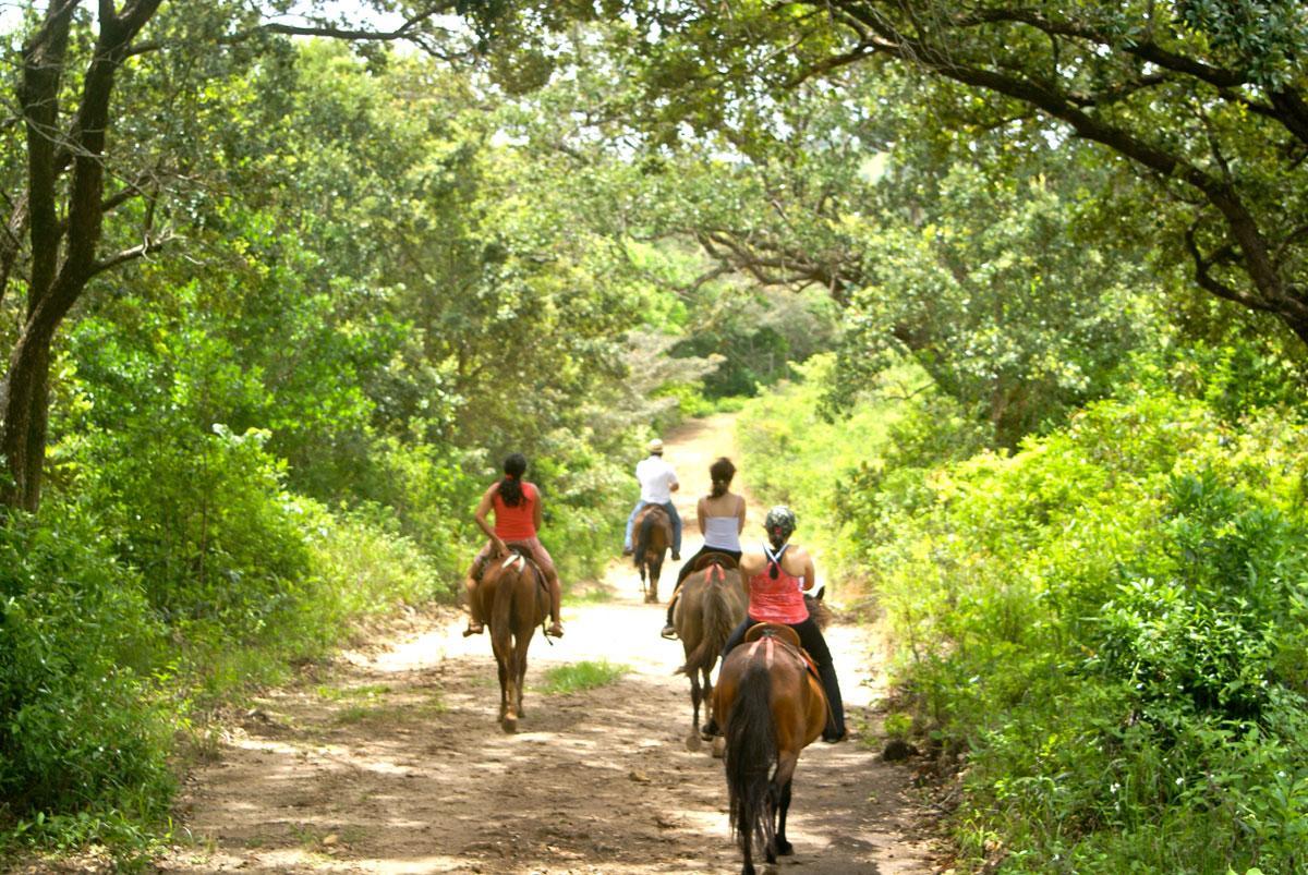 Vida Aventura Ranch Hotell Tanques Eksteriør bilde